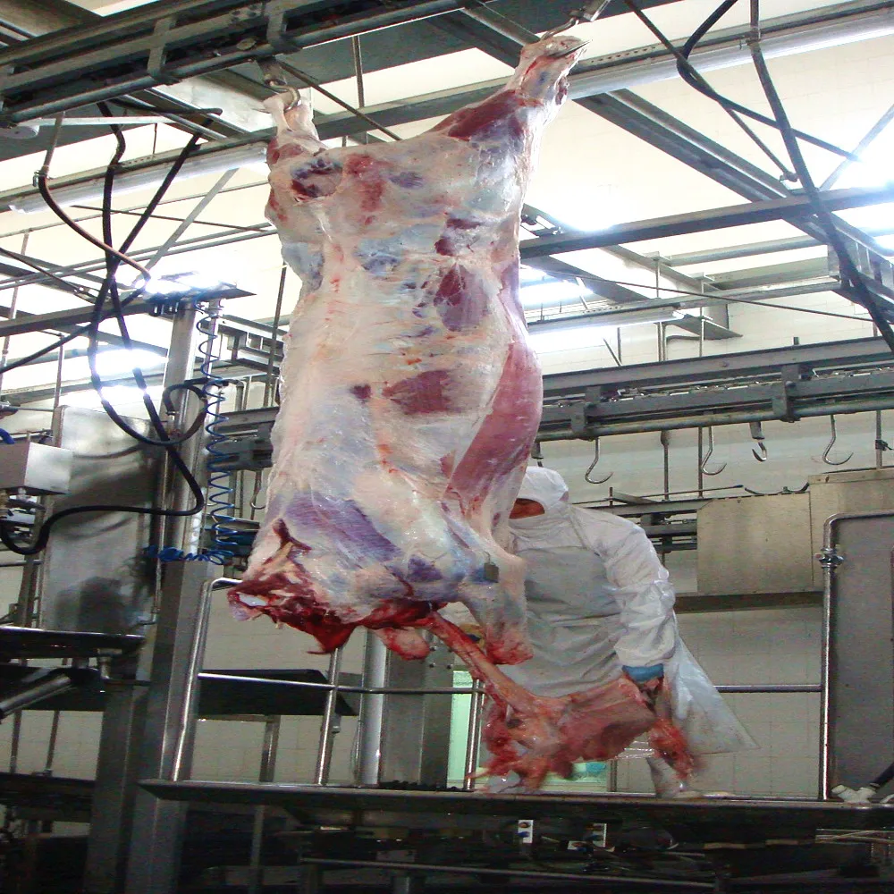 Cow Abattoir Machine Halal Slaughter Equipment Cattle Butcher Line for Meat Beef Production Processing