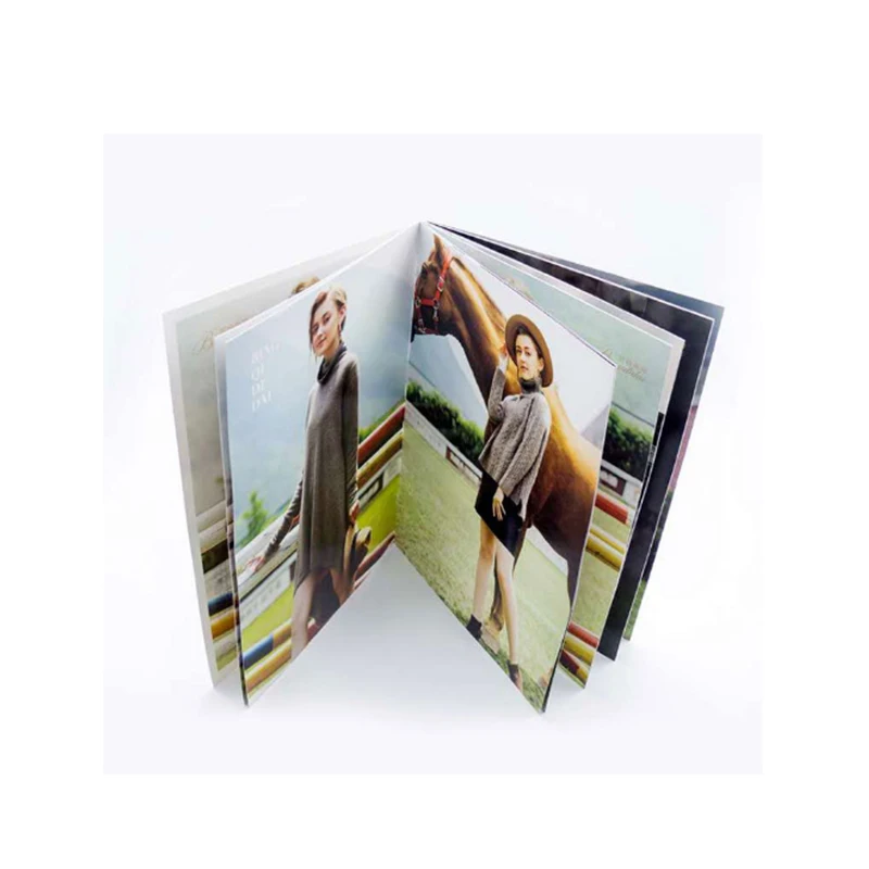 customized  Album of painting /brochures/magazines printing /autograph book