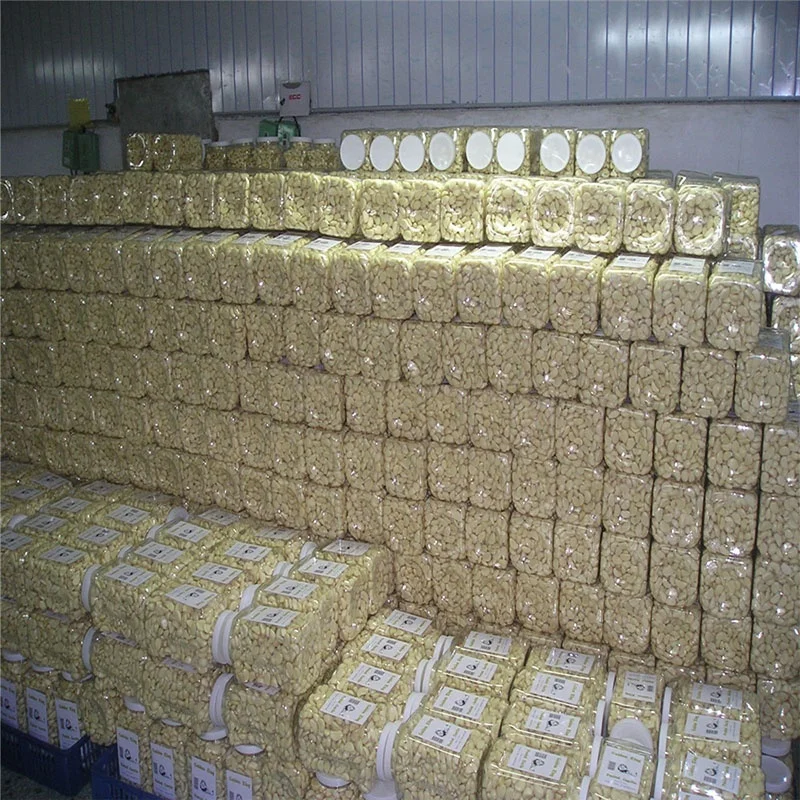 
factory supply 100% Fresh Peeled Garlic with high quality and best price 