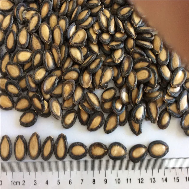  Семена китайского арбуза для человеческого потребления рыночная цена хорошего качества