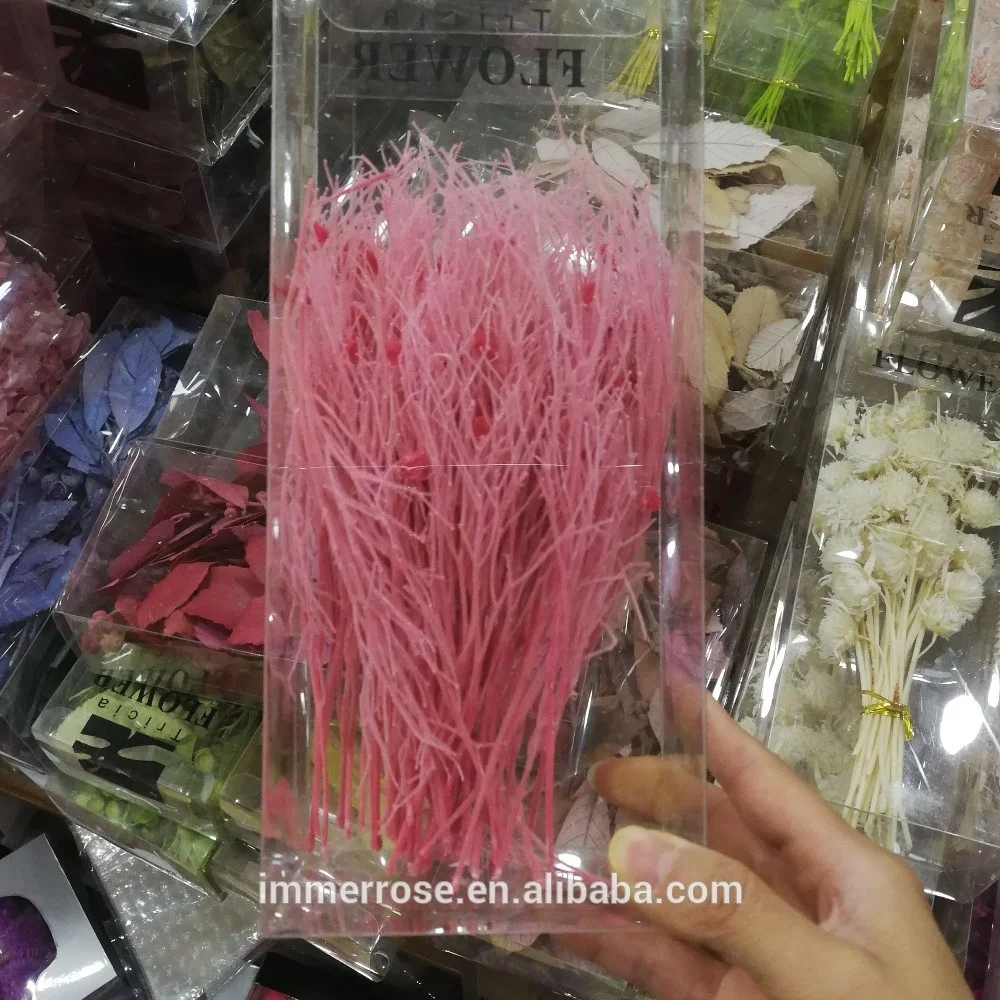 
preserved Juncus Effusus bunch flowers real dry flowers 