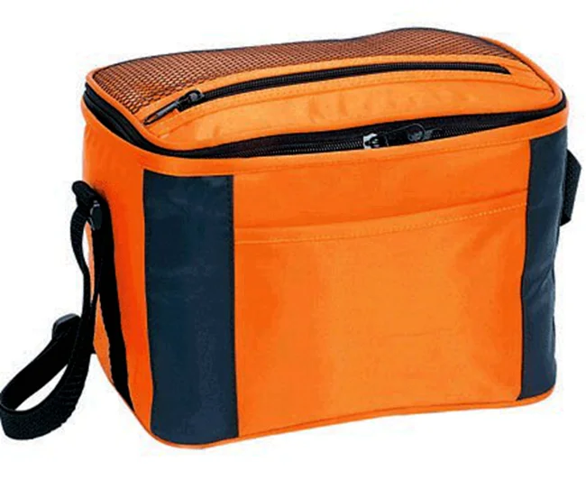 In many styles wholesale newest delivery ice cream cooler bag