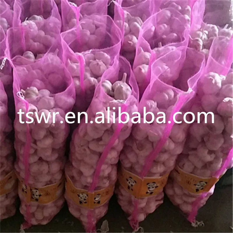 
cold storage garlic high quality garlic 2020 crop 