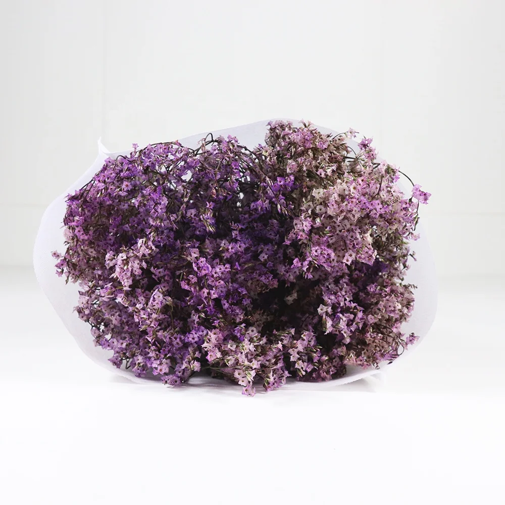 Лидер продаж, сохраненный цветок ЛИМОНИЯ Caspea высокого качества для украшения дома или хобби