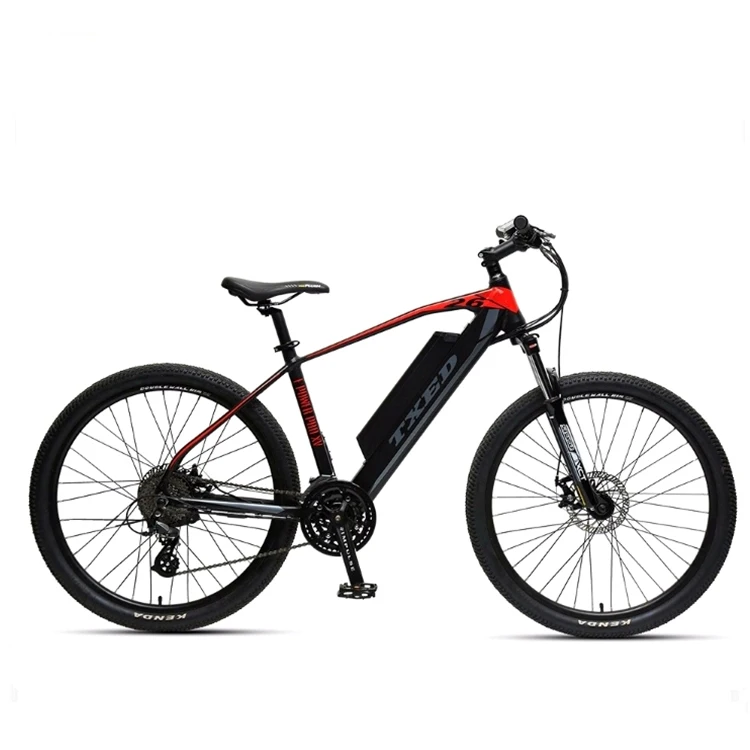 TXED Mountain Electric Bicycle With Good Price Rear Hub Motor mtb e bike