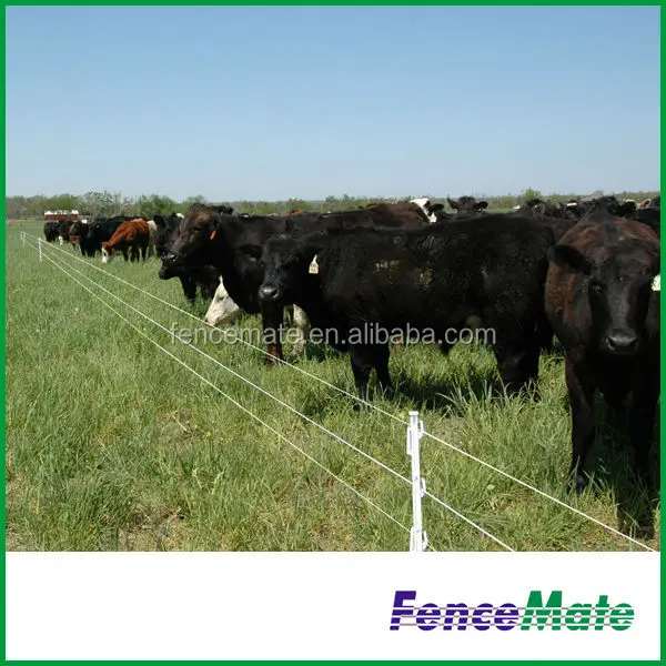 Electric Fence Steel Wire Aluminum Wire