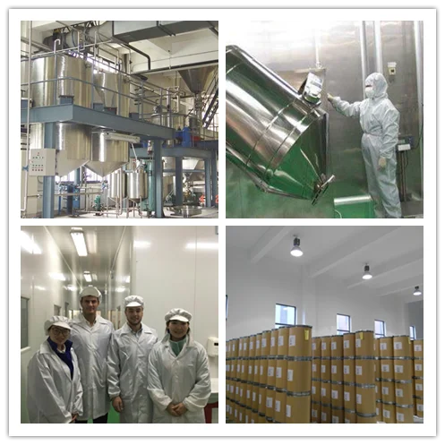 
High Quality Natural Cyanotis Vaga Extract Ecdysterone 