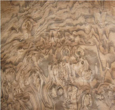 good quality walnut burl veneer