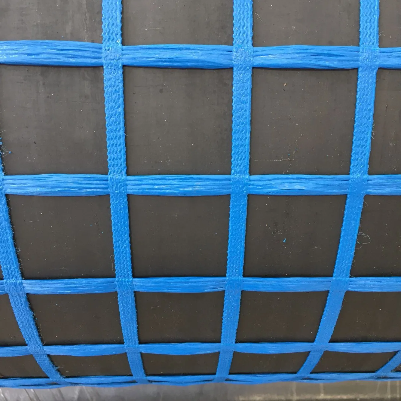 Прочность на разрыв 30-1000 кН основовязание полиэфир BX Geogrid