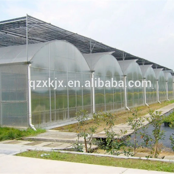 2021 new product green house plastic film greenhouse agricultural greenhouse