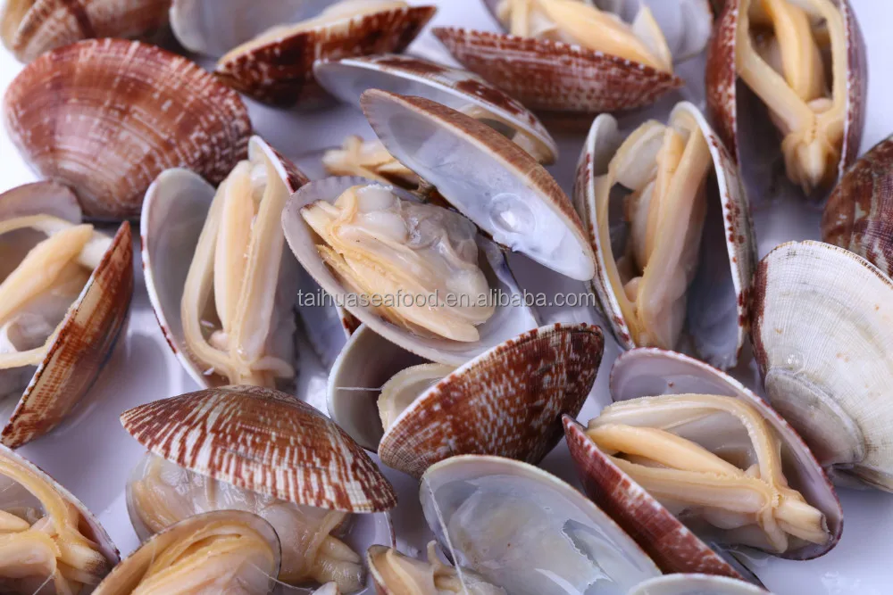 cooking and vacuum packed clams in frozen