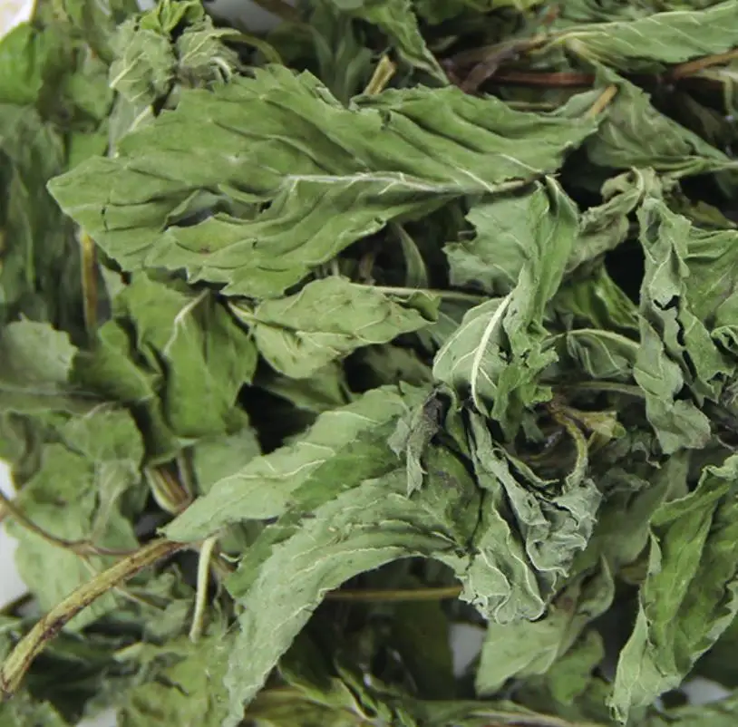 Пряный чай оптовая продажа новый урожай сушеных листьев мяты для чая