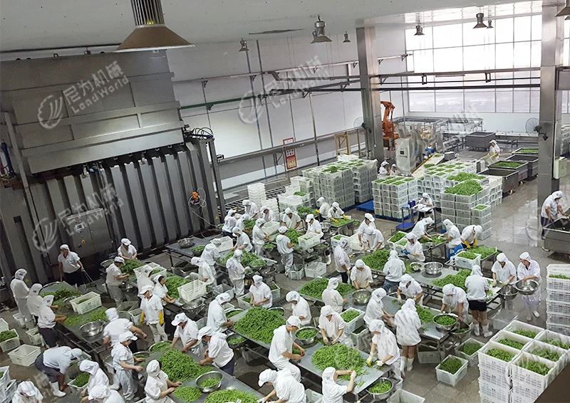 china automatic canned beans production line