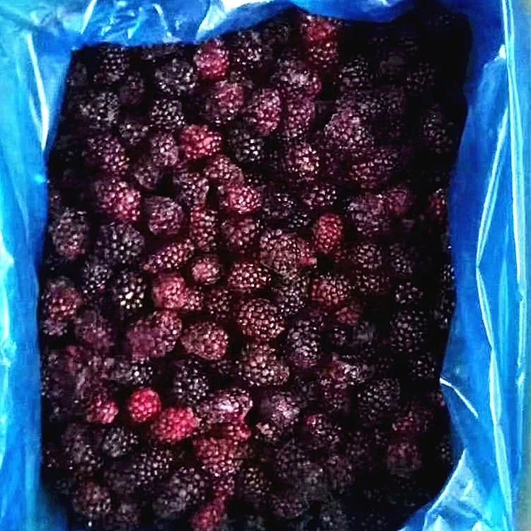 
Blackberry Frozen Fruit/IQF 