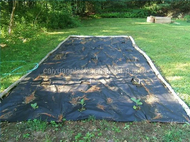 Пластиковые сельское хозяйство мульча фильм цена