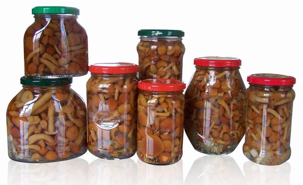 Low price canned mushroom nameko from China