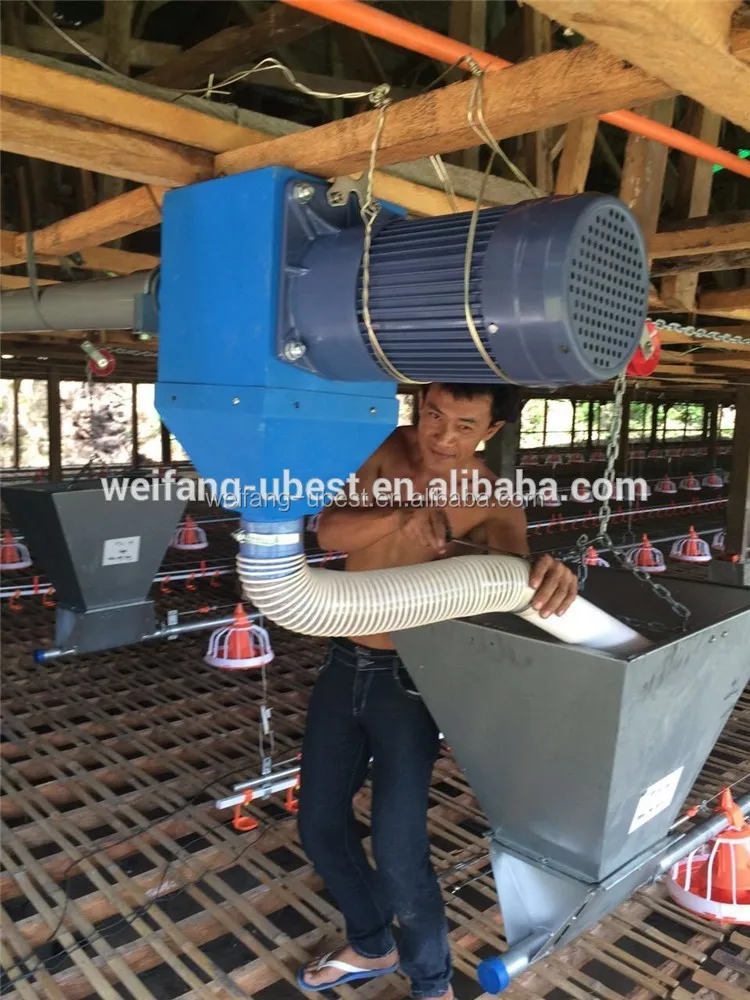 Philippine Automatic Tunnel Low Price Control Broiler System Ventilation Chicken Poultry Shed House