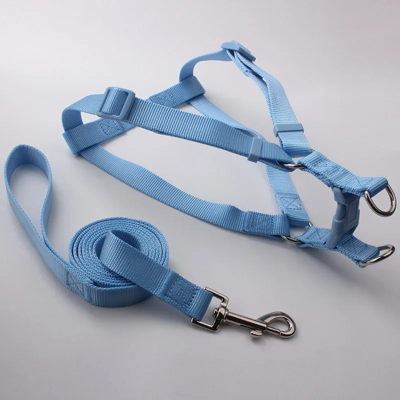 2020 новый стиль высококачественный цветной удобный поводок для собаки