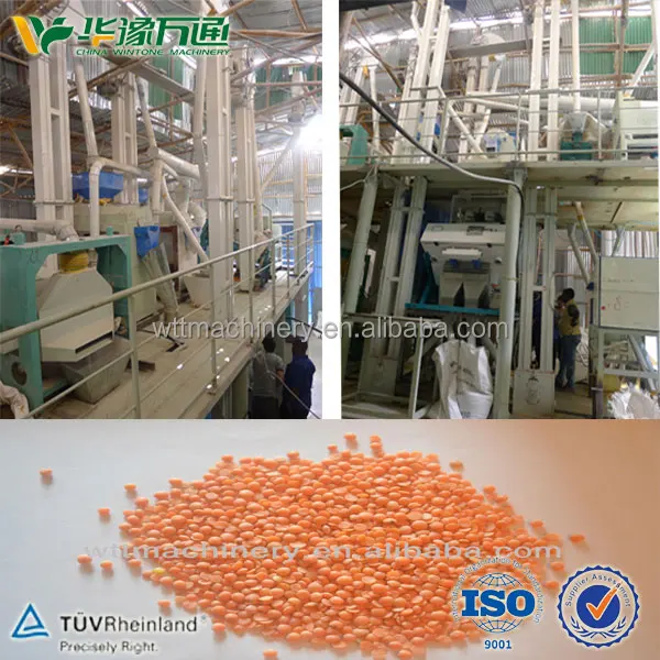 Win Tone brand good quality red lentils processing plant exporter in turkey