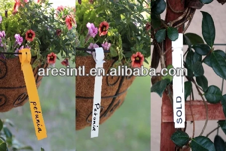 Оберните вокруг дерева