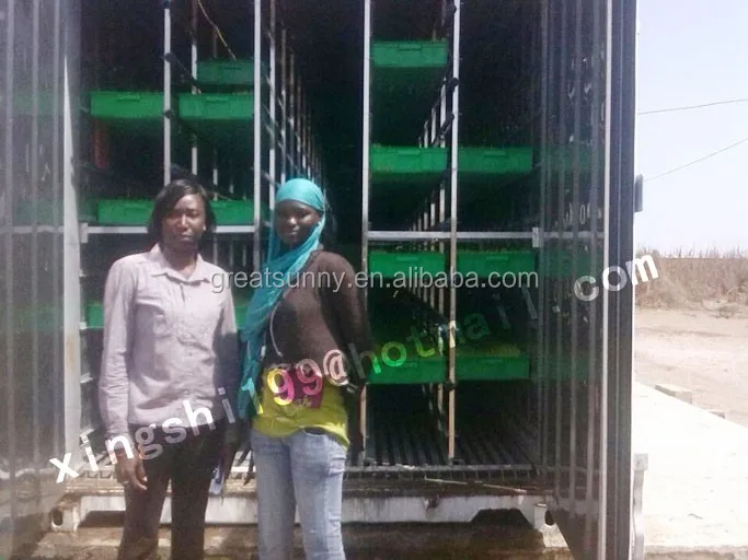 Automatic green fodder making machine / hydroponic barley grass fodder growing system for cattle,goats,sheep,rabbits,livestock