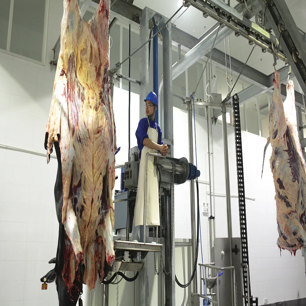 Complete Slaughterhouse Machine Halal Cattle Slaughter Line Equipment for Butcher Workshop