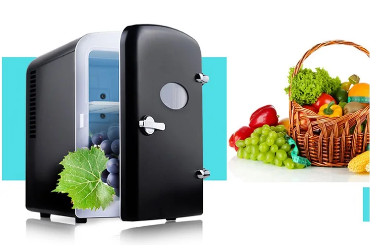 New Mini Bar fridge 4L Electric Mini Fridge  Cool And Warmer Mini  Car Fridge