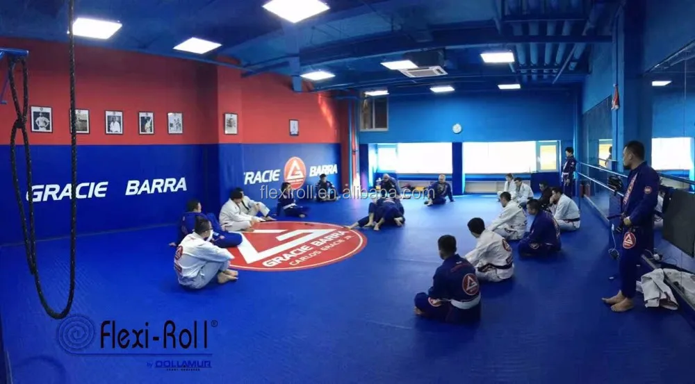 Hot sale USA Brand Dollamur MMA Judo Tatami Mat / Roll out Jiu-Jitsu Mat
