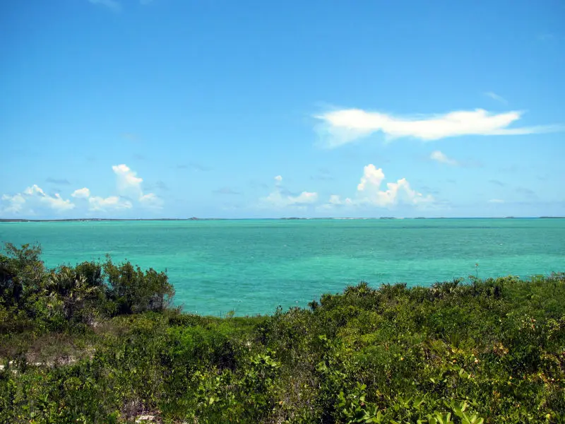  20% skidka na vse lotes