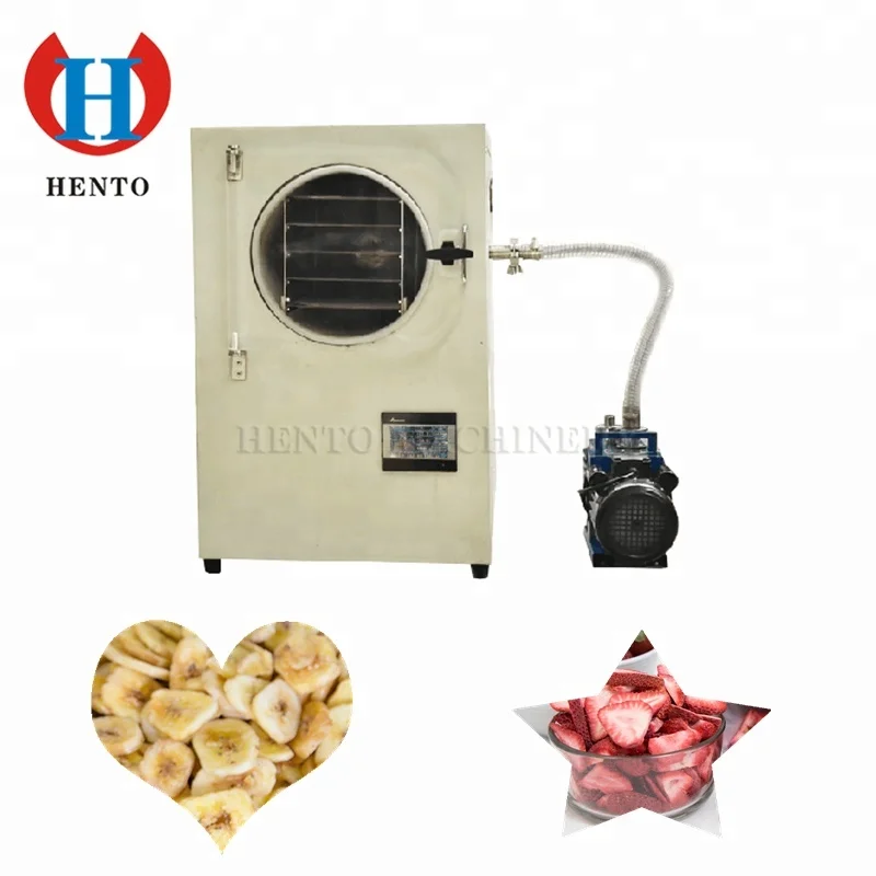 Freeze Dryer Lyophilizer Fruit Freeze Drying Machine