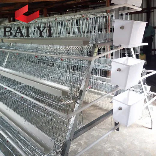 Best Selling Layer Chicken Battery Cage Poultry Equipment In Zimbabwe,South Africa,Pakistan