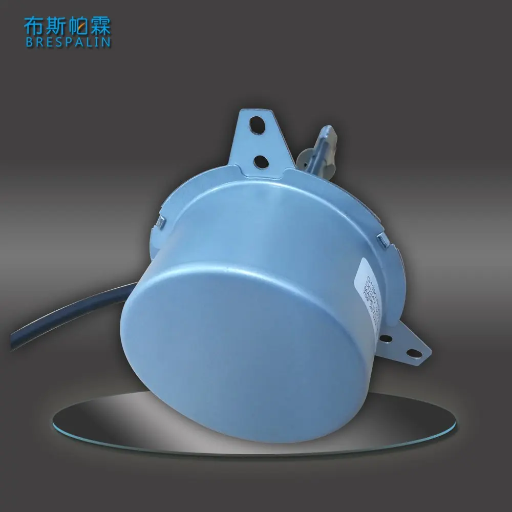  Big Torque 48v Brushless DC Motor 130W for Range Hood and Water Booster