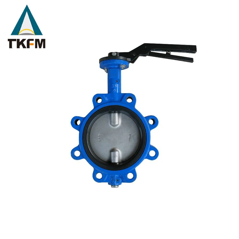 Sale ansi standard lug ptfe seat cf8m disc handle steel butter fly butterfly valve singapore
