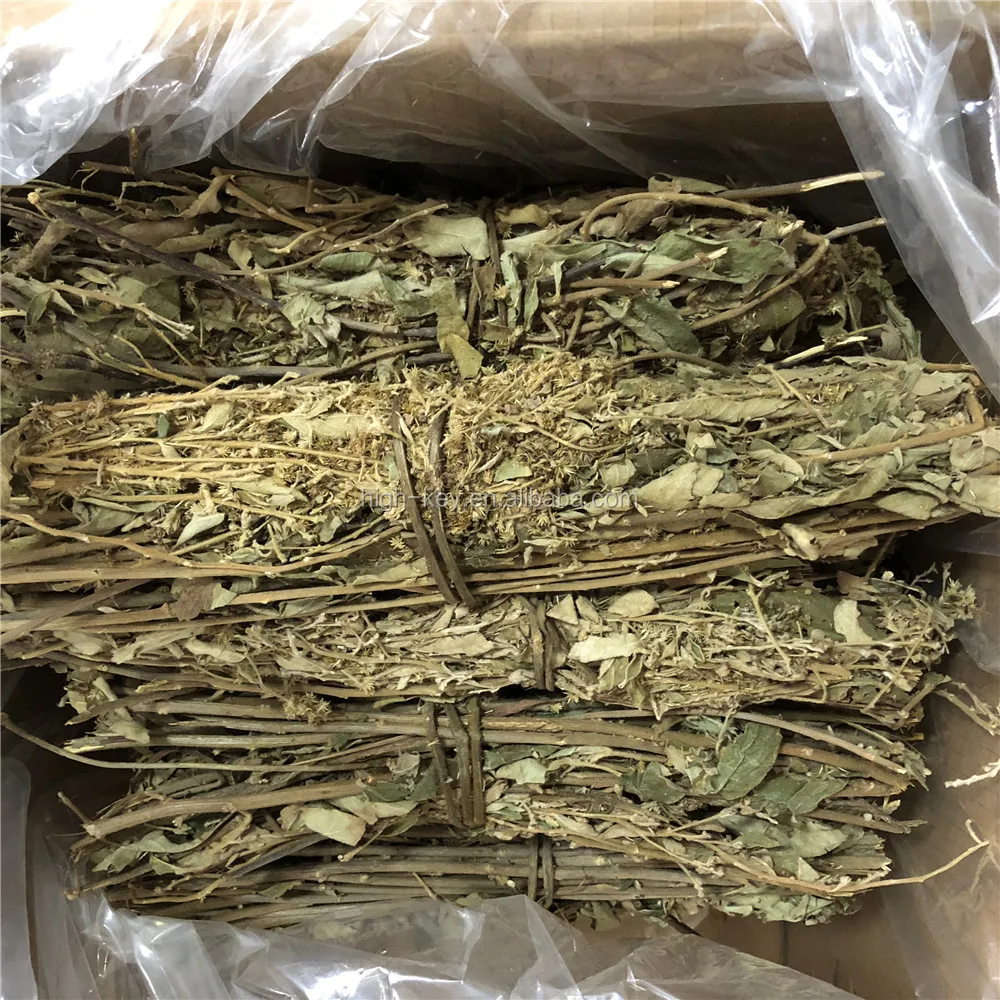 
5046 Yang er ju Hot Selling Natural Herbs Dried Leaves Inula Cappa 