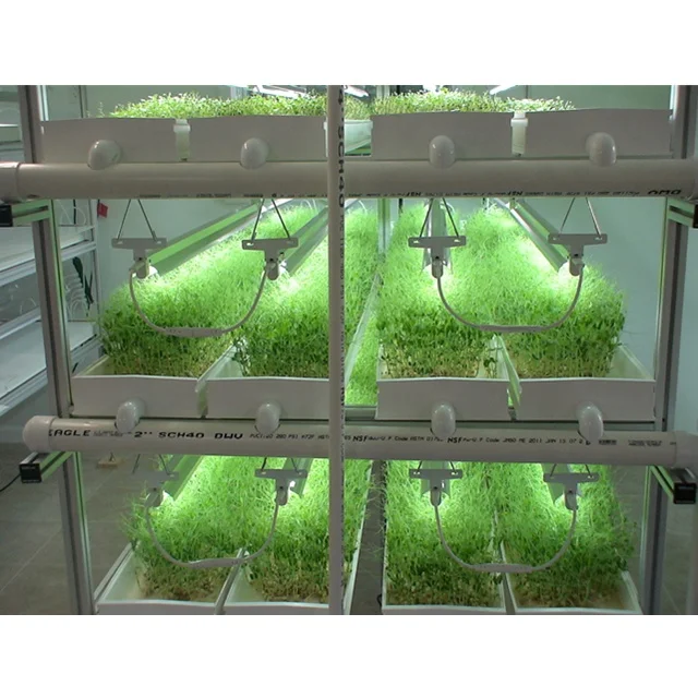 NFT PVC Hydroponics Barley Sprout System for Cow Horse Sheep