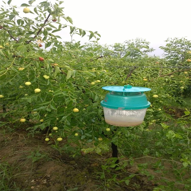 Пластиковая воронка-ловушка для сельскохозяйственного контроля насекомых