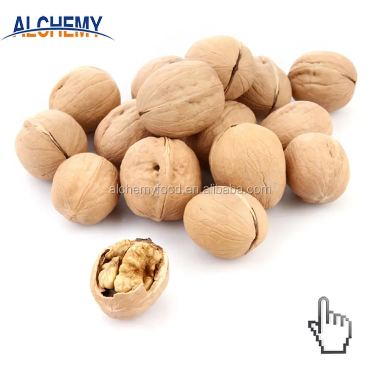 Non-GMO gmo organic indian walnut russia