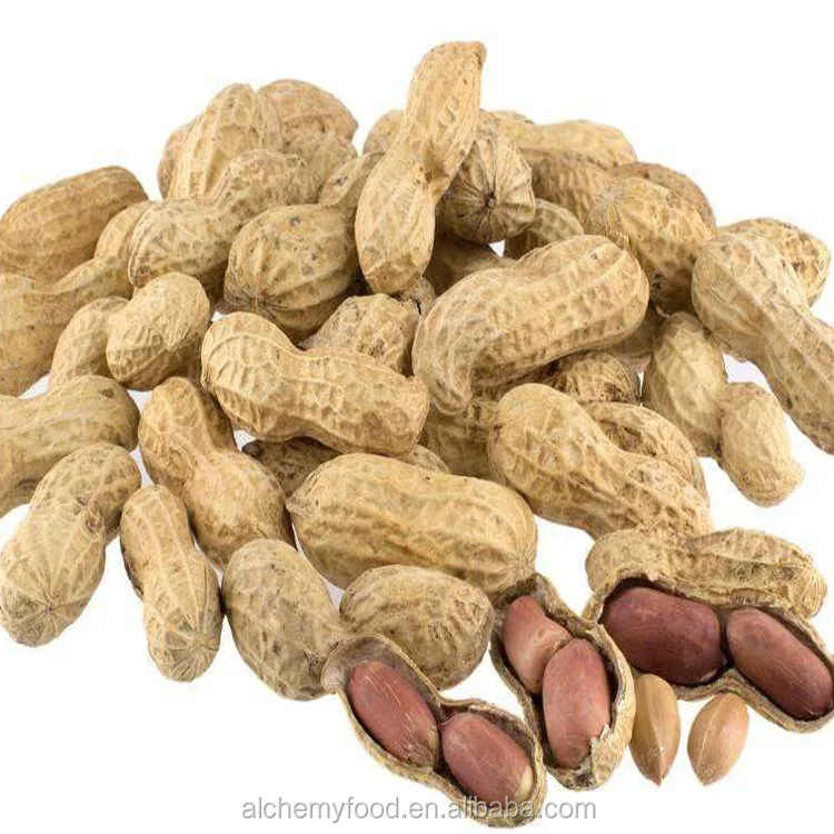 chinese imports wholesale groundnut 	 ground nut