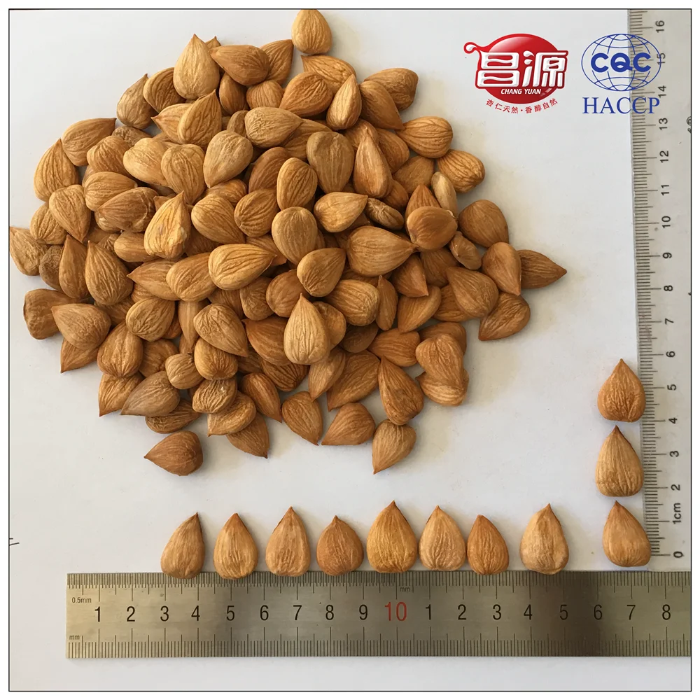 Raw Sweet Apricot Seeds (Longwang) Crop 2017(SAK)