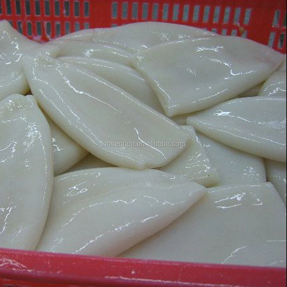 
high quality frozen whole cleaned loligo squid tube 