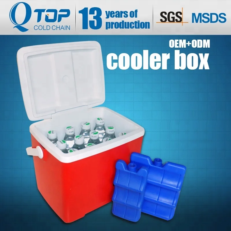 Guangzhou factory new EPS small cooler box