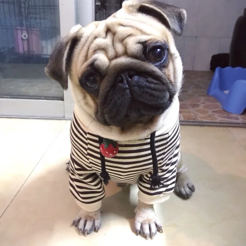 Лидер продаж качественные Модные полосатые толстовки для домашних животных футболка одежда собак подходит к хозяину собачкам и