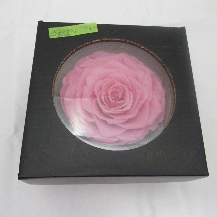 
Big pink rose bud size 9-10cm preserved flower material natural preserved roses for innovative birthday gifts in box 
