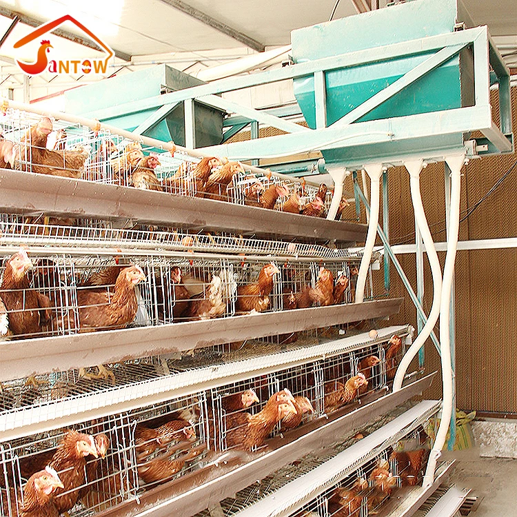 Best Selling Products 96,120,128,160 Birds Layer Poultry Battery Chicken Cages For Sale