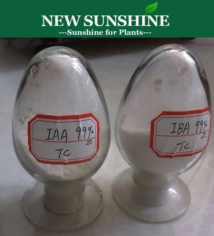 Hot Sale Indole-3-butyric acid IBA 99%TC Plant Growth Regulator