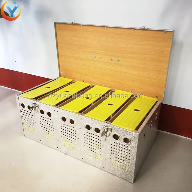 5 holes pigeon breeding cage/racing pigeon cage feeder stainless steel transportation box