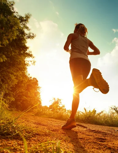 
600 mesh rice protein powder 