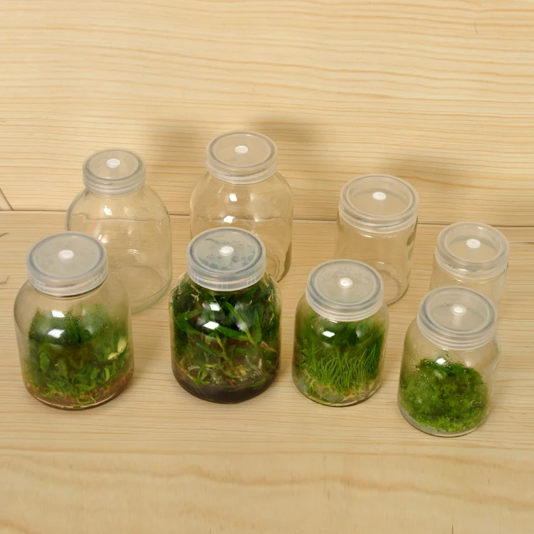 Various Capacity 240ML 350ML 480ML Glass Plant Tissue Culture Equipment Vessel Jar/Bottle Plastic Lid with Vent