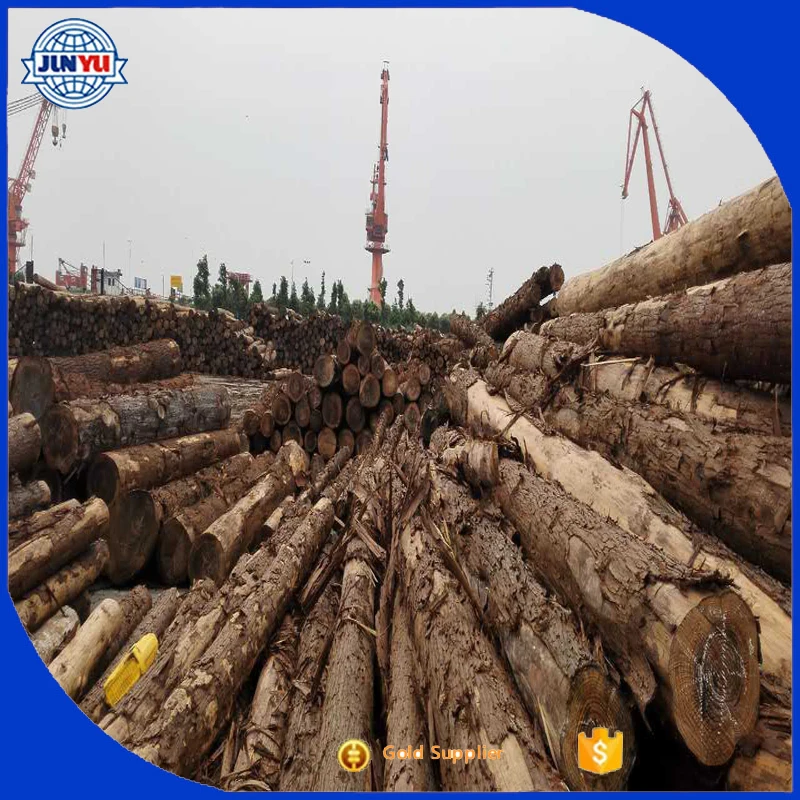 best hinoki wood lumber boards/ japan hinoki wood boards timber