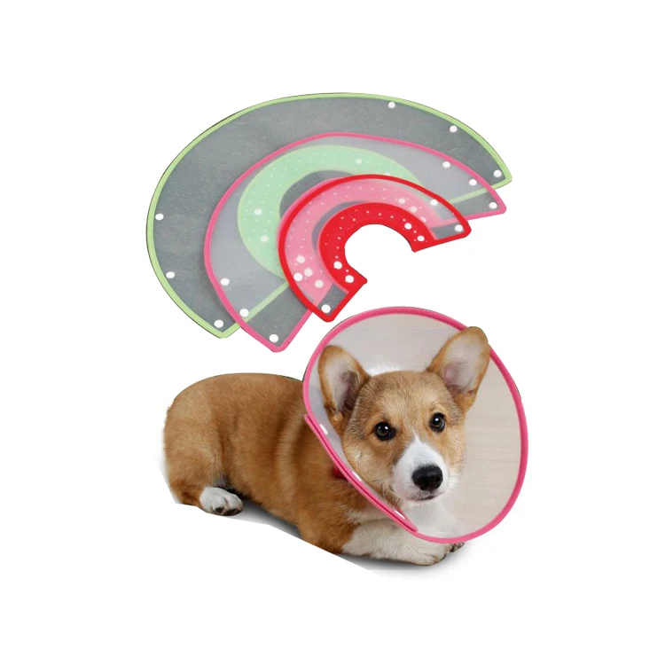 Petstar полностью водонепроницаемый роскошный красивый собака кошка многоцветные укус-доказательство воротник